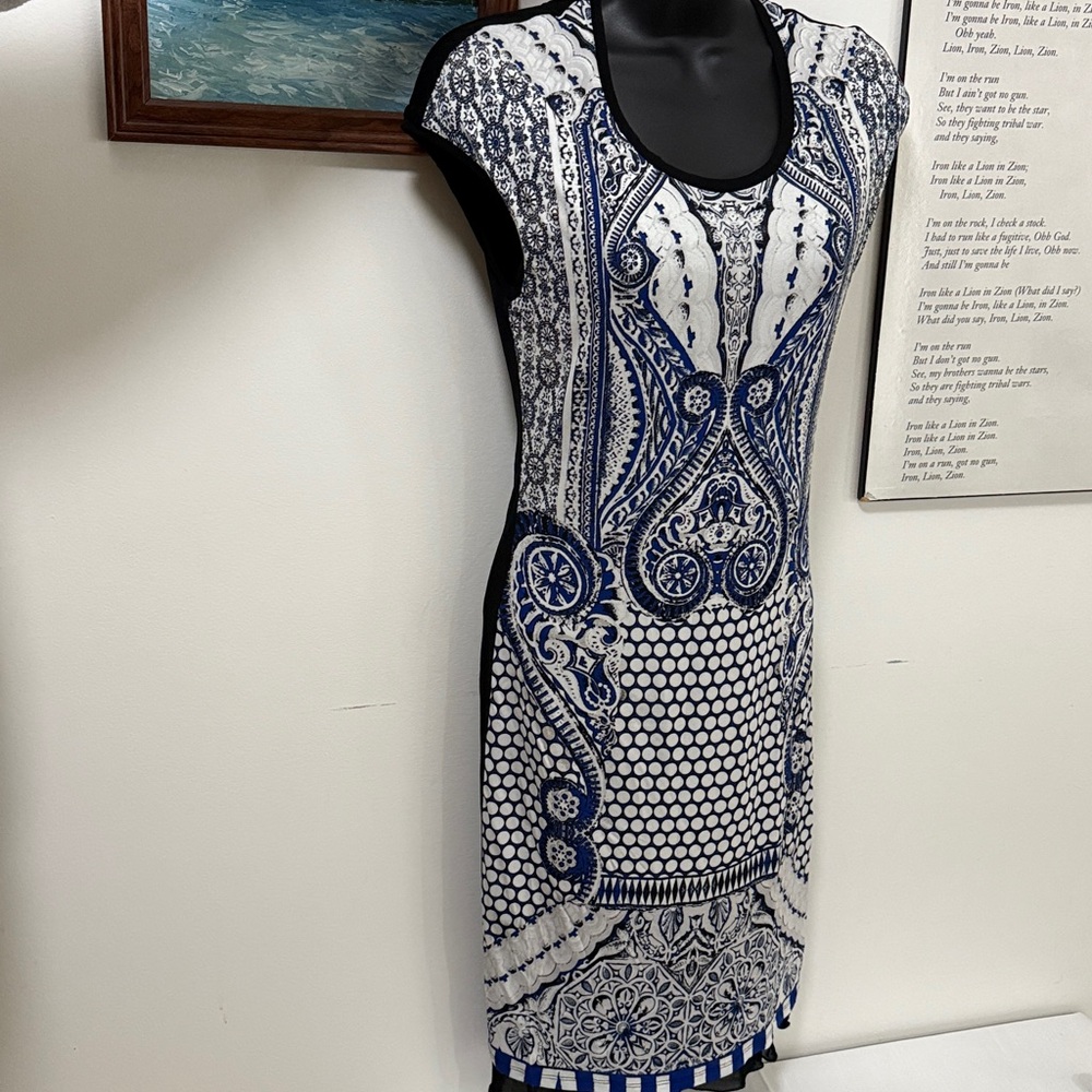 Roberto Cavalli Blue and White dress